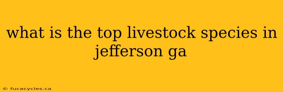 what is the top livestock species in jefferson ga