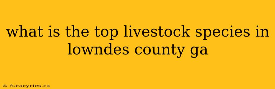 what is the top livestock species in lowndes county ga