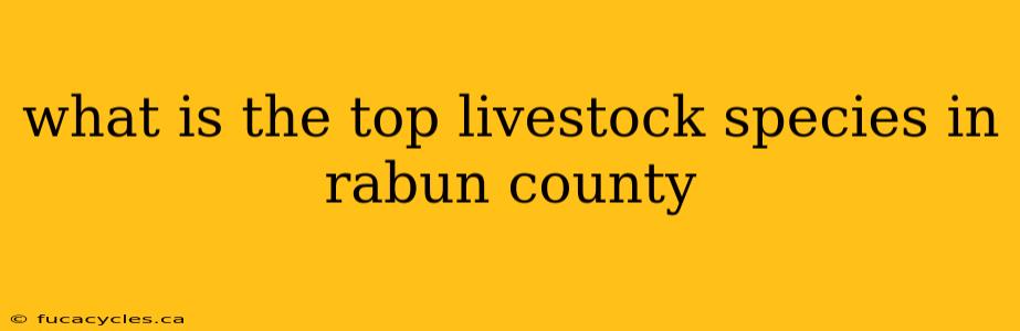 what is the top livestock species in rabun county