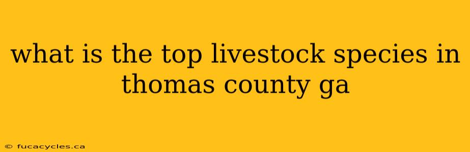 what is the top livestock species in thomas county ga