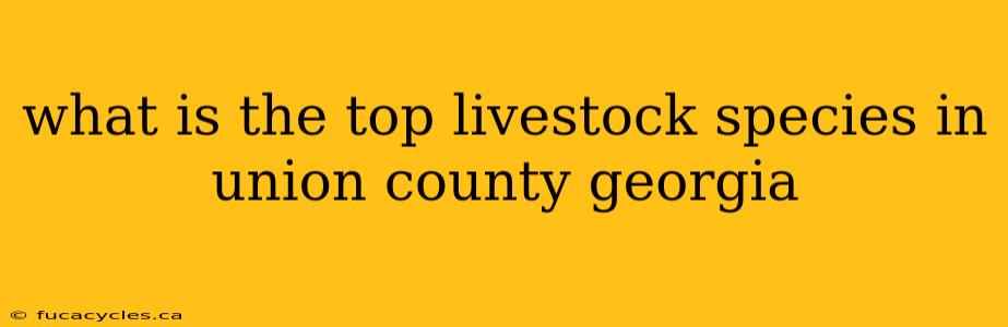 what is the top livestock species in union county georgia