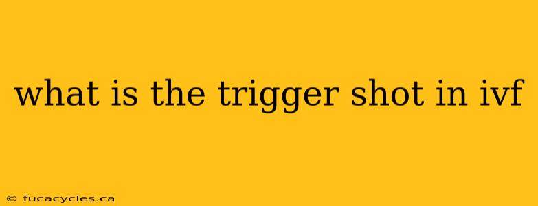 what is the trigger shot in ivf