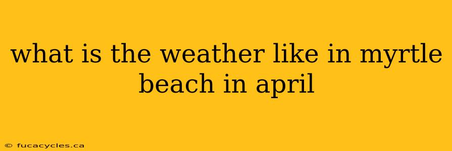 what is the weather like in myrtle beach in april