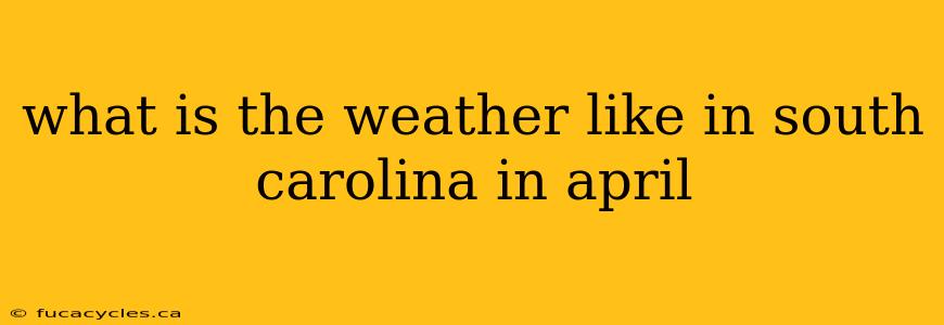 what is the weather like in south carolina in april