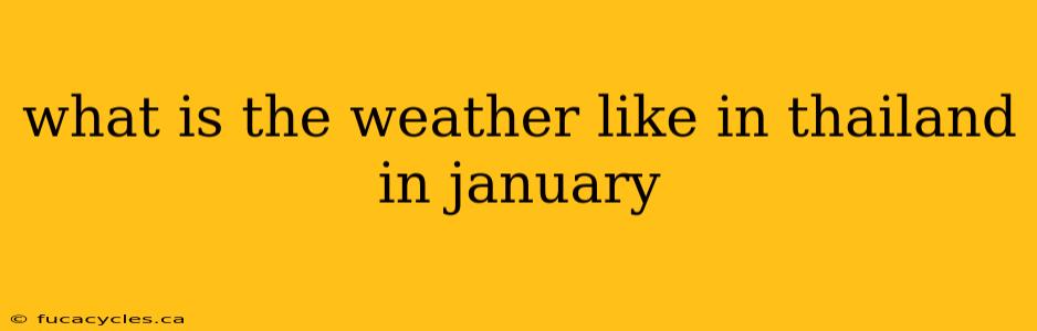 what is the weather like in thailand in january