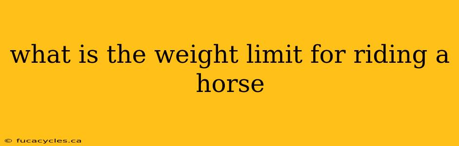 what is the weight limit for riding a horse