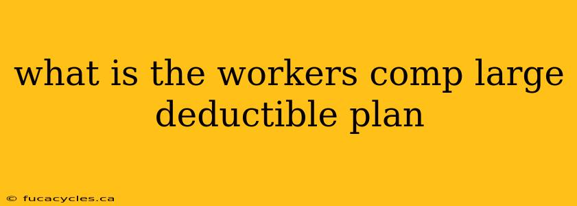 what is the workers comp large deductible plan