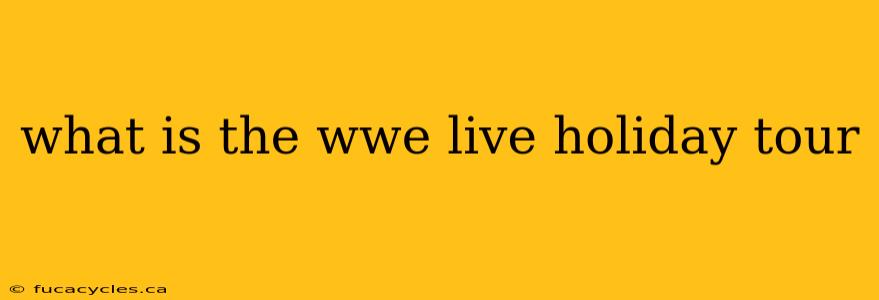 what is the wwe live holiday tour