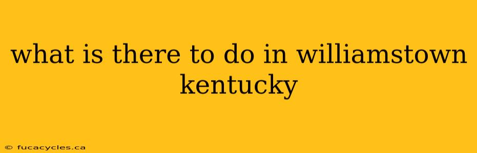 what is there to do in williamstown kentucky