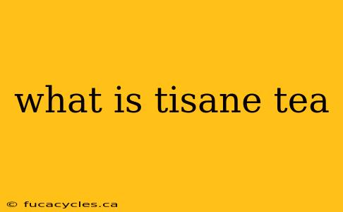 what is tisane tea