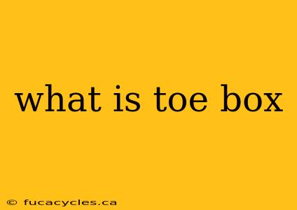 what is toe box