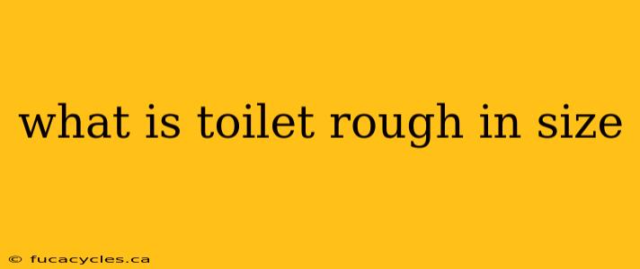 what is toilet rough in size