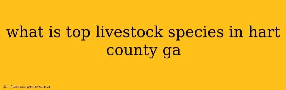 what is top livestock species in hart county ga