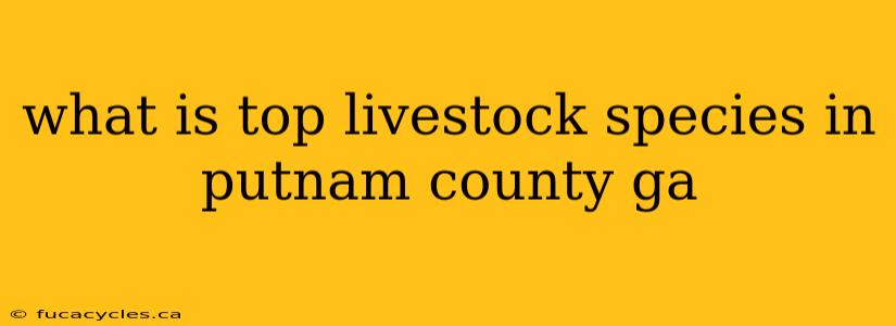 what is top livestock species in putnam county ga