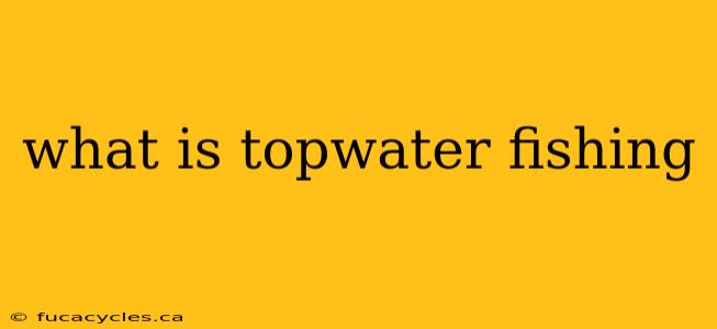 what is topwater fishing