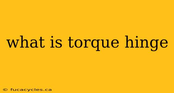 what is torque hinge