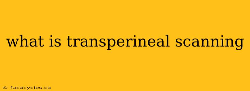 what is transperineal scanning