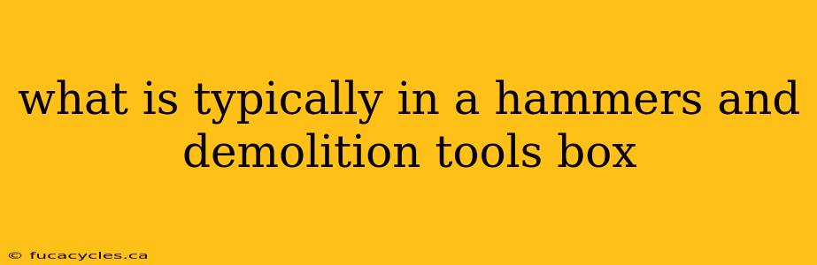 what is typically in a hammers and demolition tools box