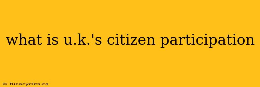 what is u.k.'s citizen participation