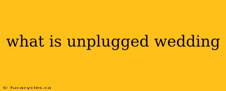 what is unplugged wedding