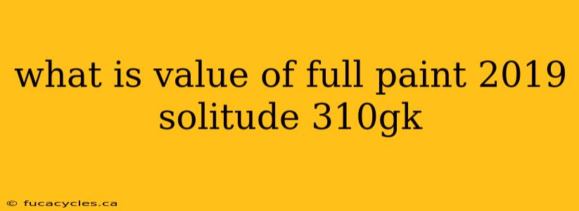 what is value of full paint 2019 solitude 310gk