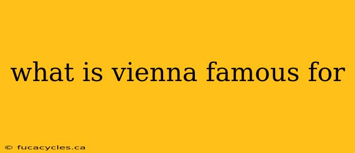 what is vienna famous for