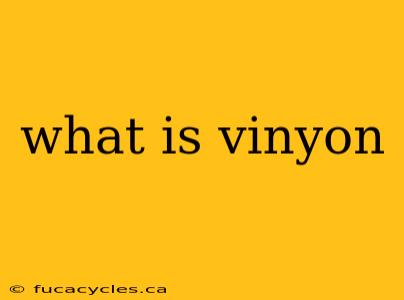 what is vinyon