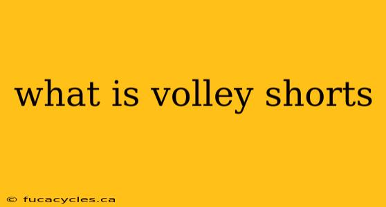 what is volley shorts