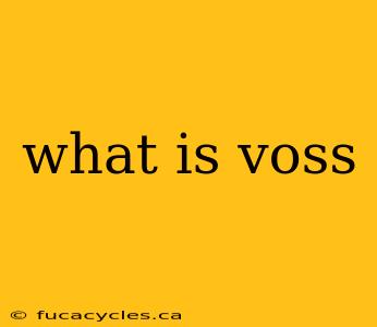 what is voss