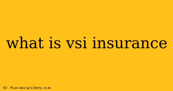 what is vsi insurance