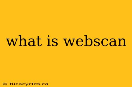 what is webscan