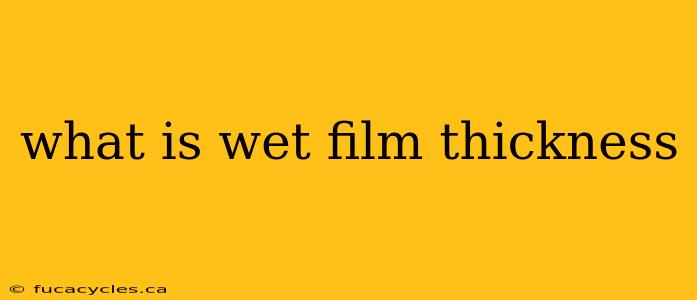 what is wet film thickness