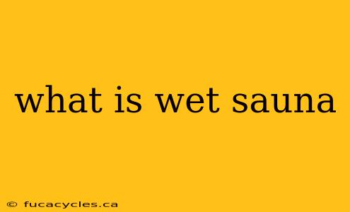 what is wet sauna