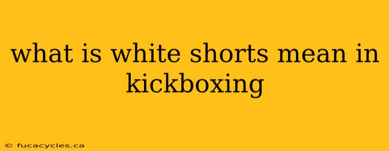 what is white shorts mean in kickboxing