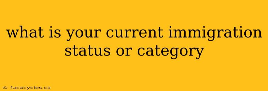 what is your current immigration status or category