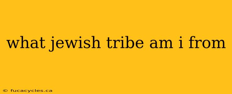 what jewish tribe am i from