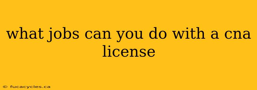 what jobs can you do with a cna license