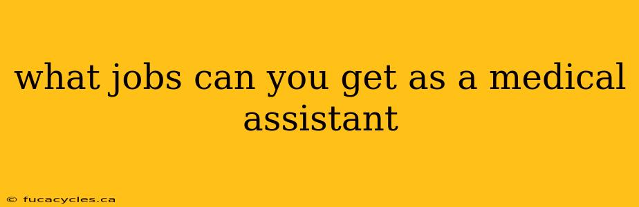 what jobs can you get as a medical assistant