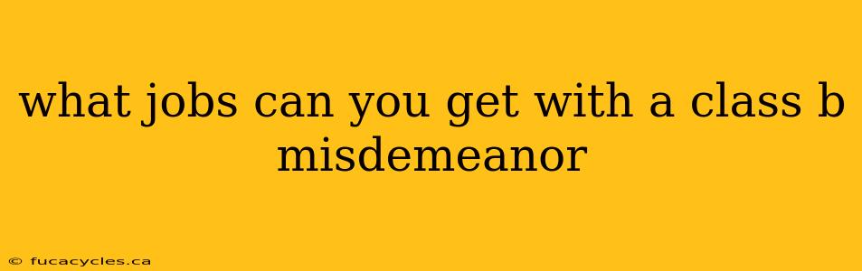 what jobs can you get with a class b misdemeanor