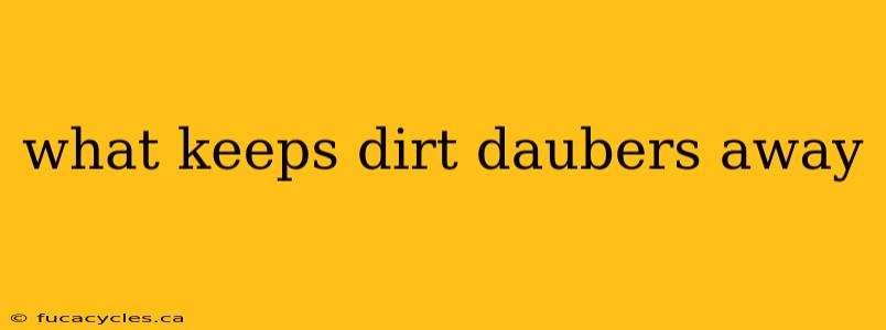 what keeps dirt daubers away