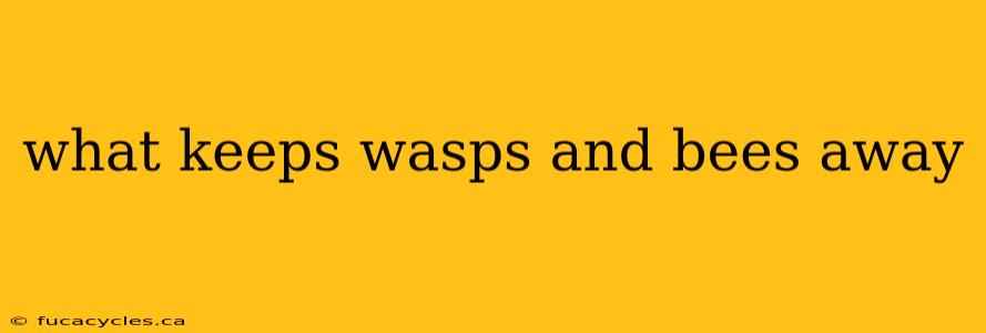 what keeps wasps and bees away