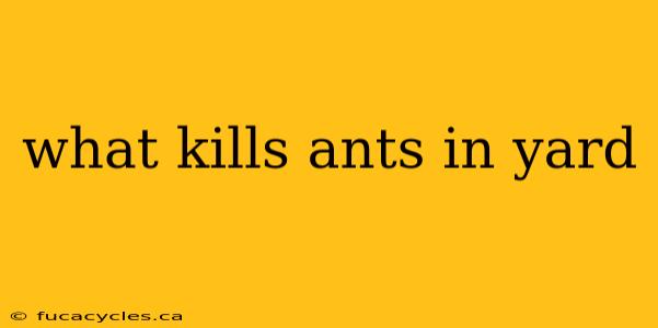 what kills ants in yard