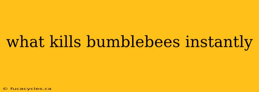 what kills bumblebees instantly