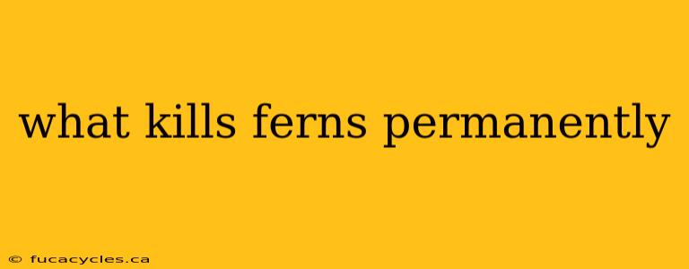 what kills ferns permanently