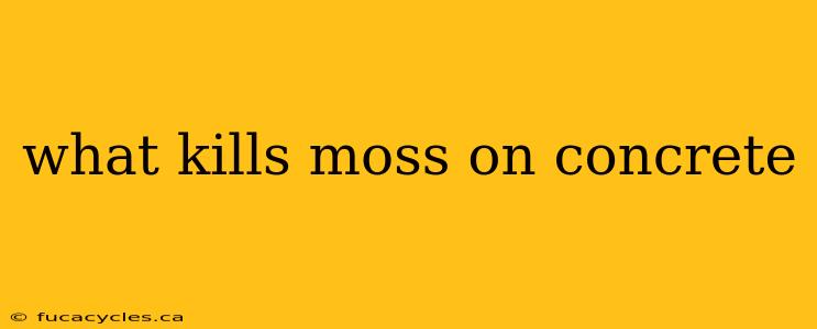 what kills moss on concrete