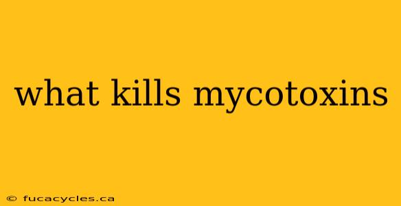 what kills mycotoxins