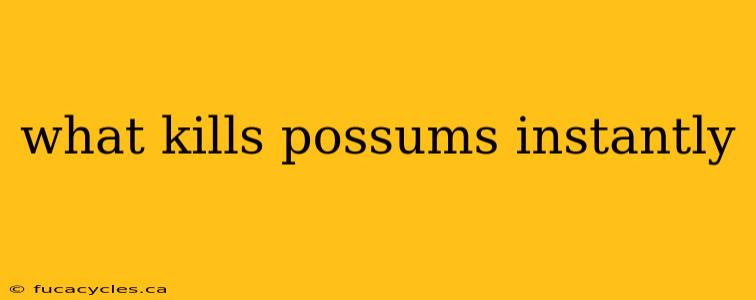 what kills possums instantly