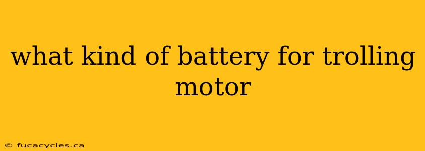 what kind of battery for trolling motor