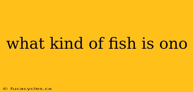 what kind of fish is ono