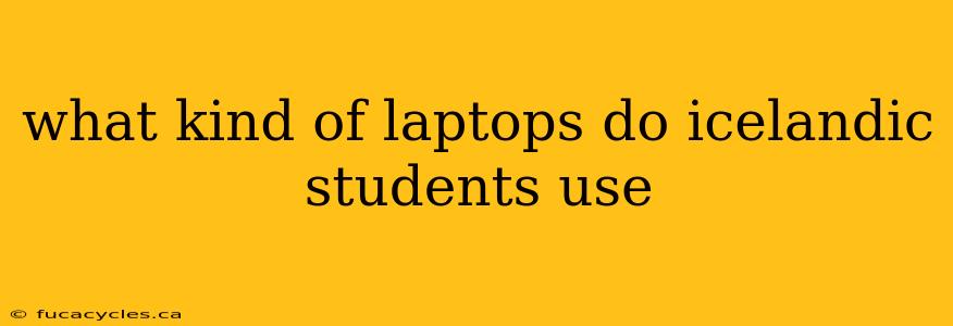 what kind of laptops do icelandic students use